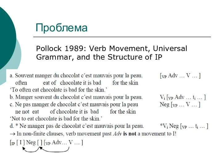 Проблема Pollock 1989: Verb Movement, Universal Grammar, and the Structure of IP