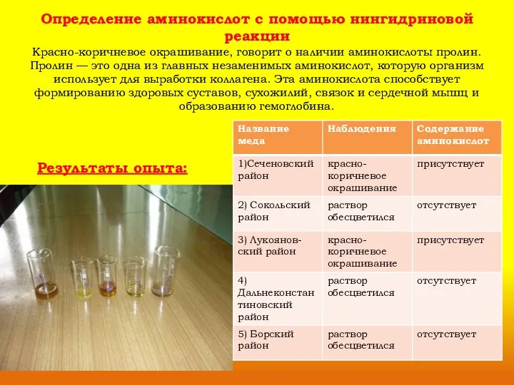 Определение аминокислот с помощью нингидриновой реакции Красно-коричневое окрашивание, говорит о