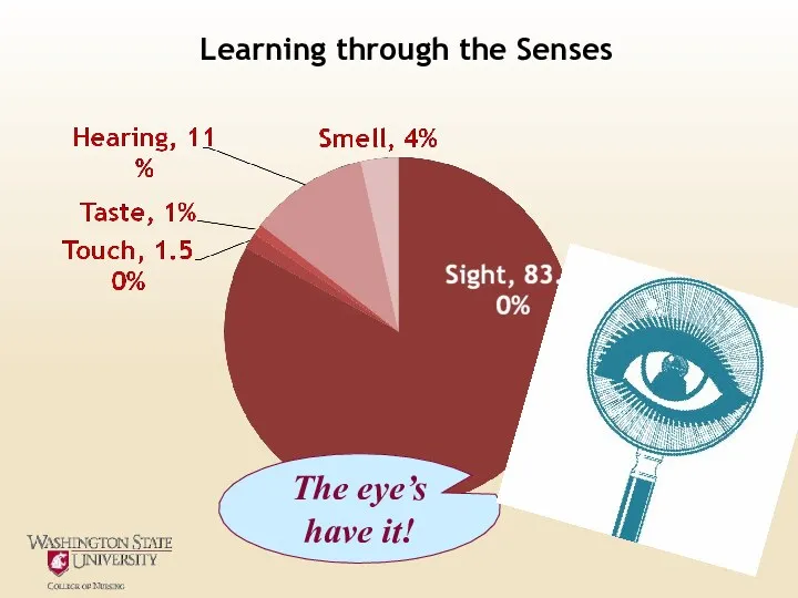 Learning through the Senses The eye’s have it!