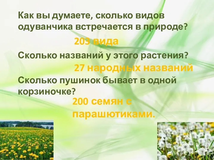 Как вы думаете, сколько видов одуванчика встречается в природе? Сколько