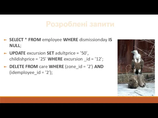 Розроблені запити SELECT * FROM employee WHERE dismissionday IS NULL;