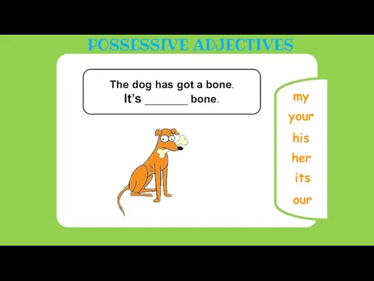 our The dog has got a bone. It’s _______ bone.