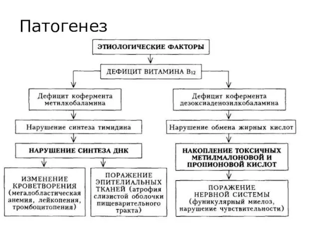 Патогенез