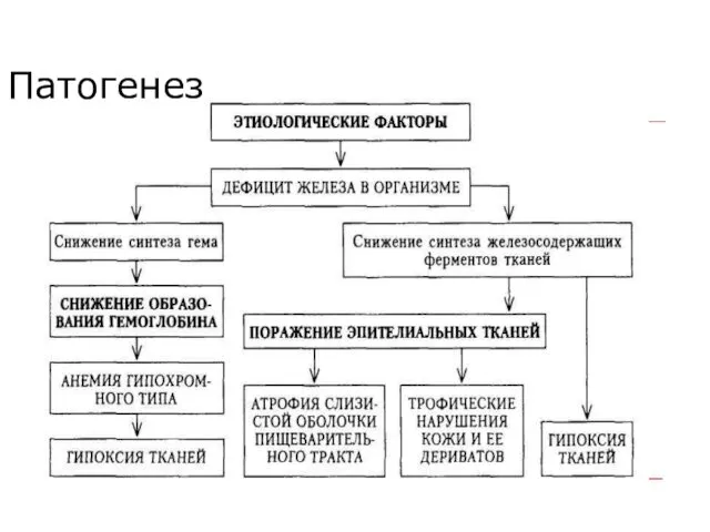 Патогенез