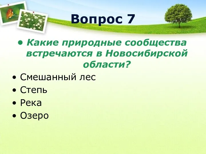 Вопрос 7 Какие природные сообщества встречаются в Новосибирской области? Смешанный лес Степь Река Озеро