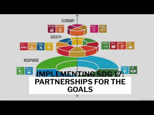 IMPLEMENTING SDG 17: PARTNERSHIPS FOR THE GOALS