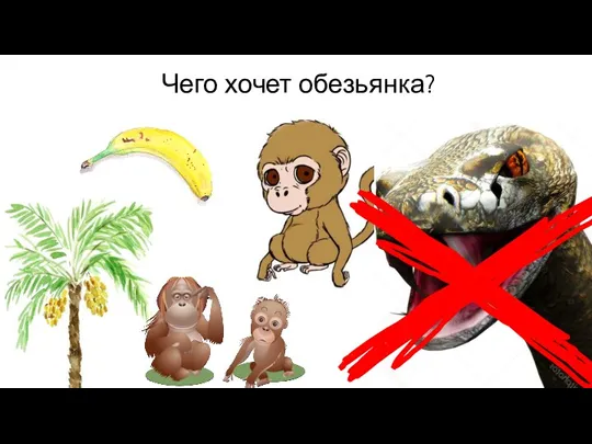 Чего хочет обезьянка?