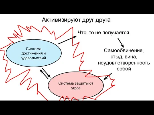 Система достижения и удовольствий Система защиты от угроз Активизируют друг