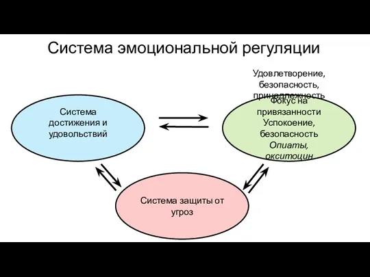 Система эмоциональной регуляции Система достижения и удовольствий Фокус на привязанности