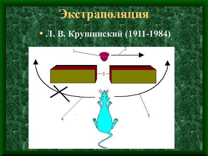Экстраполяция Л. В. Крушинский (1911-1984)