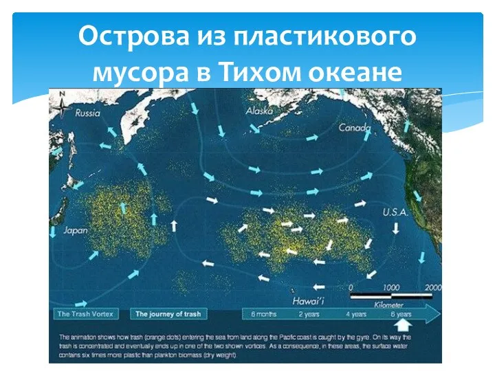 Острова из пластикового мусора в Тихом океане