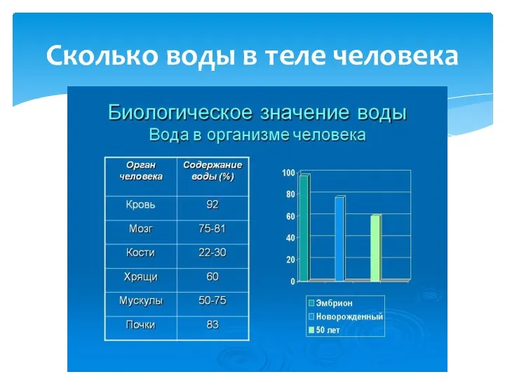 Сколько воды в теле человека