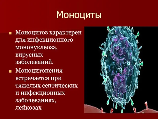 Моноциты Моноцитоз характерен для инфекционного мононуклеоза, вирусных заболеваний. Моноцитопения встречается