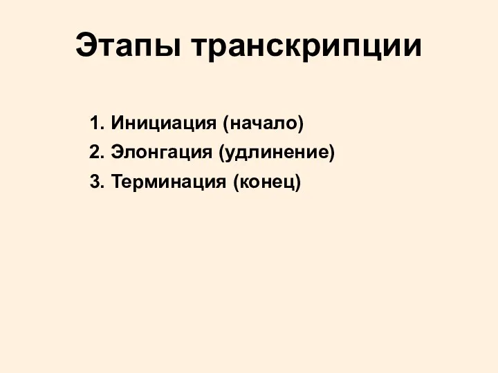 Этапы транскрипции 1. Инициация (начало) 2. Элонгация (удлинение) 3. Терминация (конец)