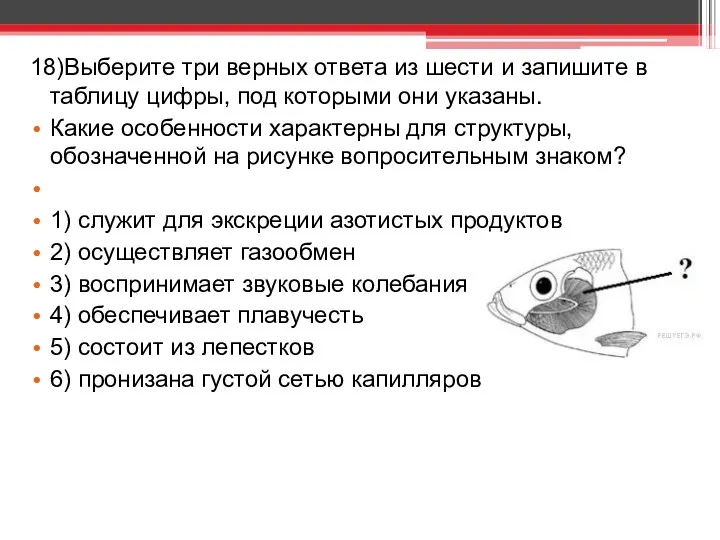 18)Выберите три верных ответа из шести и запишите в таблицу