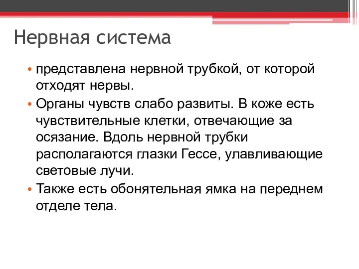 Нервная система представлена нервной трубкой, от которой отходят нервы. Органы