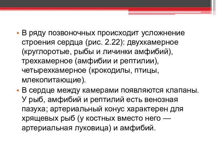 В ряду позвоночных происходит усложнение строения сердца (рис. 2.22): двухкамерное