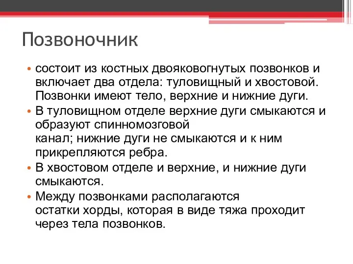 Позвоночник состоит из костных двояковогнутых позвонков и включает два отдела: