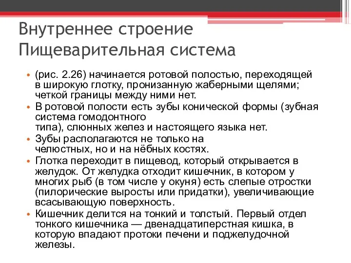 Внутреннее строение Пищеварительная система (рис. 2.26) начинается ротовой полостью, переходящей