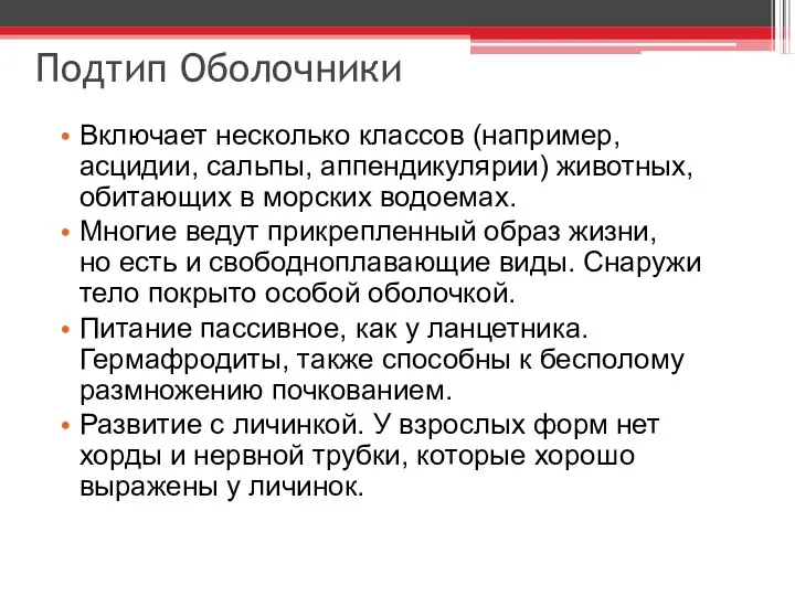 Подтип Оболочники Включает несколько классов (например, асцидии, сальпы, аппендикулярии) животных,