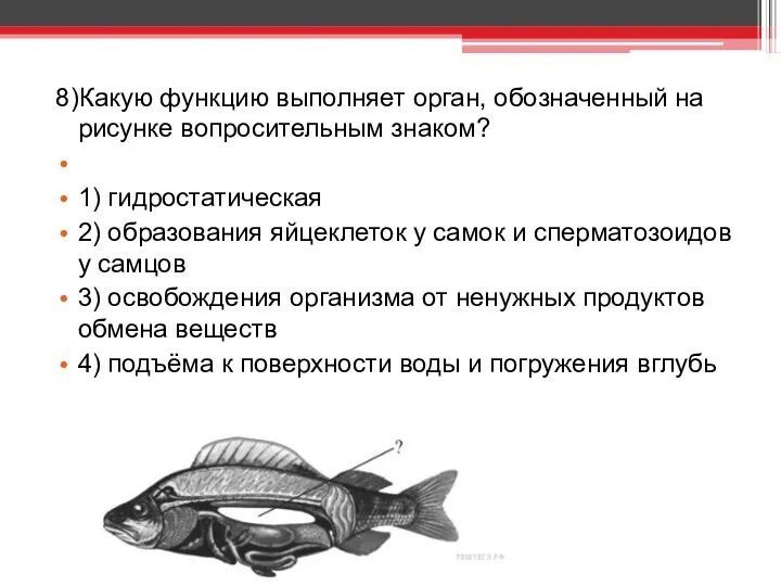 8)Какую функцию выполняет орган, обозначенный на рисунке вопросительным знаком? 1)