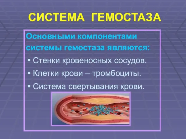 СИСТЕМА ГЕМОСТАЗА Основными компонентами системы гемостаза являются: Стенки кровеносных сосудов.
