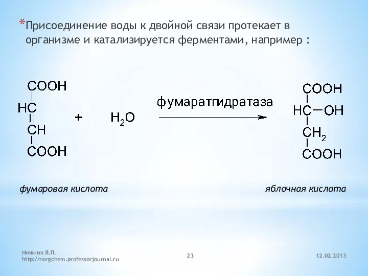 12.02.2013 Нижник Я.П. http://norgchem.professorjournal.ru Присоединение воды к двойной связи протекает