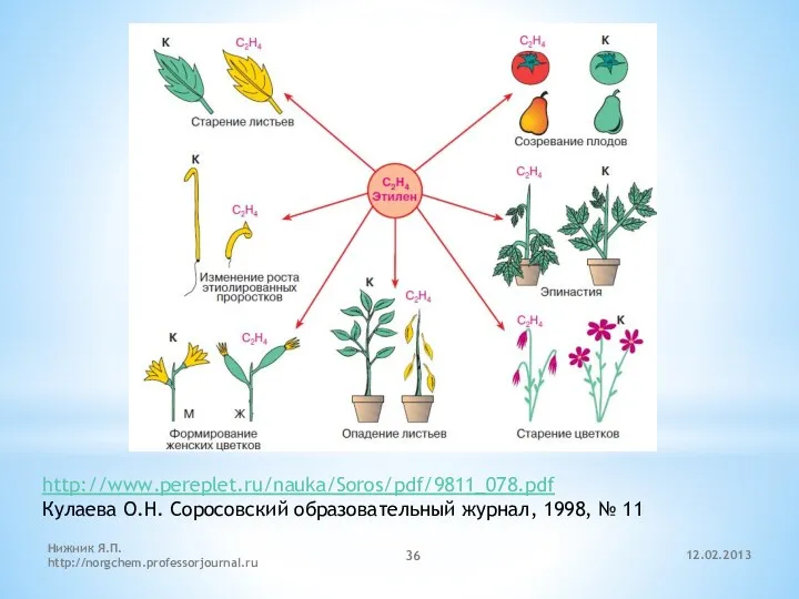 12.02.2013 Нижник Я.П. http://norgchem.professorjournal.ru http://www.pereplet.ru/nauka/Soros/pdf/9811_078.pdf Кулаева О.Н. Соросовский образовательный журнал, 1998, № 11