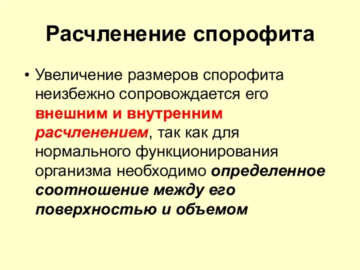 Расчленение спорофита Увеличение размеров спорофита неизбежно сопровождается его внешним и внутренним расчленением, так