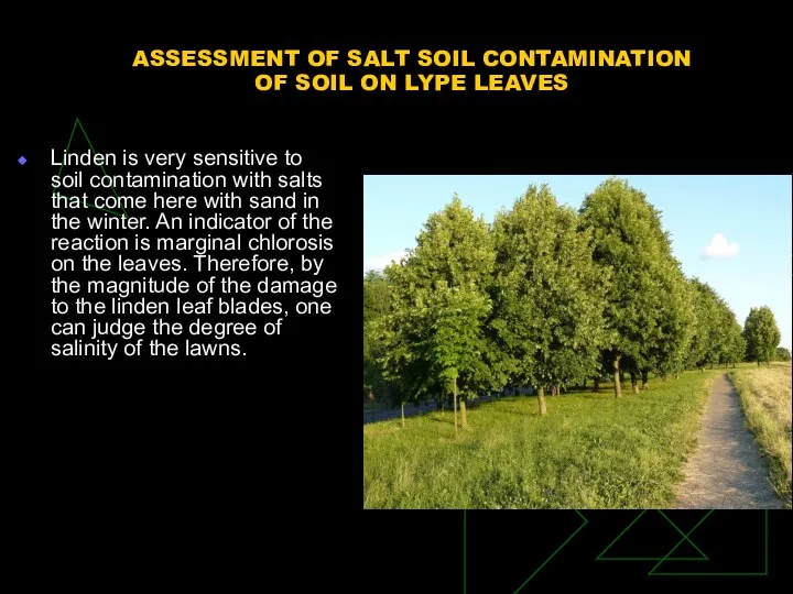 ASSESSMENT OF SALT SOIL CONTAMINATION OF SOIL ON LYPE LEAVES