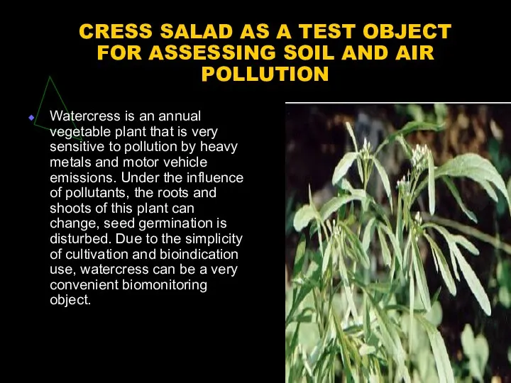 CRESS SALAD AS A TEST OBJECT FOR ASSESSING SOIL AND