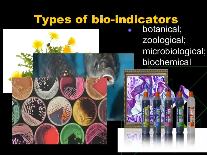 Types of bio-indicators botanical; zoological; microbiological; biochemical