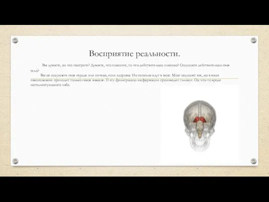 Восприятие реальности. Вы думаете, на что смотрите? Думаете, что слышите,