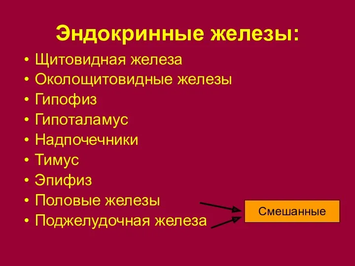 Эндокринные железы: Щитовидная железа Околощитовидные железы Гипофиз Гипоталамус Надпочечники Тимус Эпифиз Половые железы Поджелудочная железа Смешанные