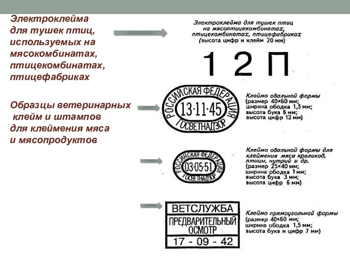 Электроклейма для тушек птиц, используемых на мясокомбинатах, птицекомбинатах, птицефабриках Образцы