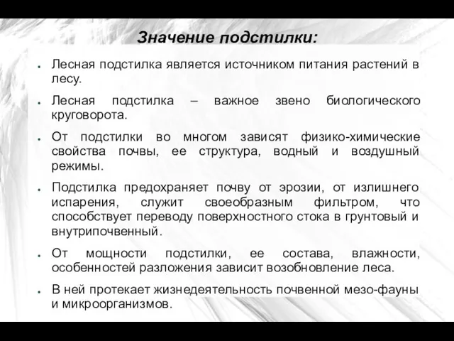 Значение подстилки: Лесная подстилка является источником питания растений в лесу.