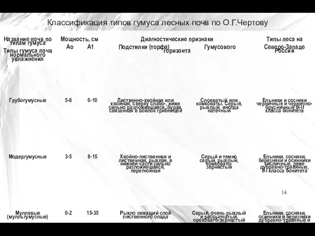 Классификация типов гумуса лесных почв по О.Г.Чертову