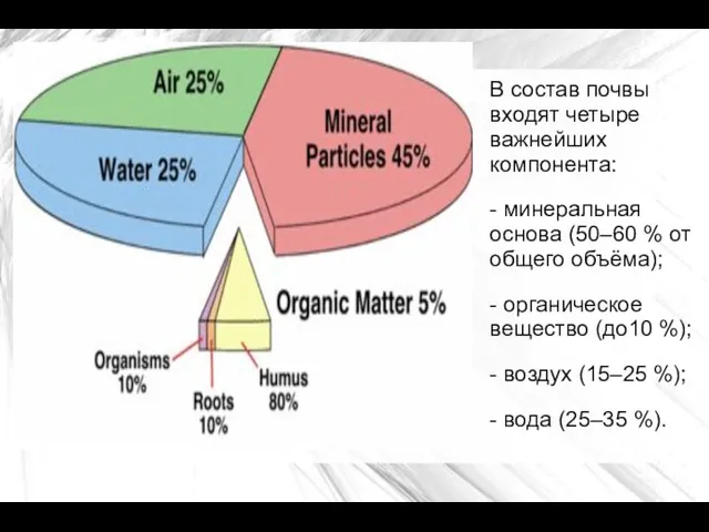 В состав почвы входят четыре важнейших компонента: - минеральная основа