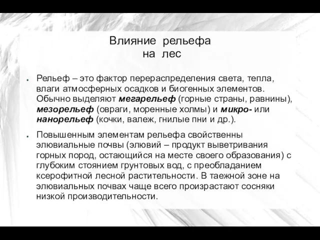 Влияние рельефа на лес Рельеф – это фактор перераспределения света,