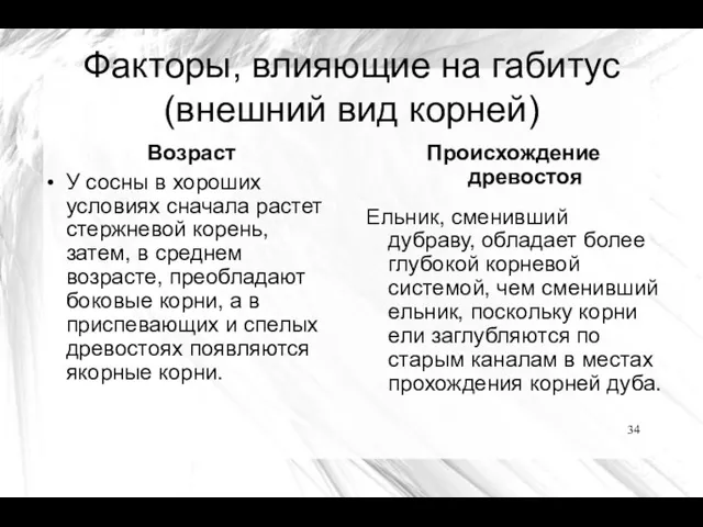 Факторы, влияющие на габитус (внешний вид корней) Возраст У сосны