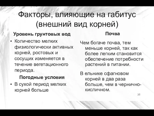 Факторы, влияющие на габитус (внешний вид корней) Уровень грунтовых вод