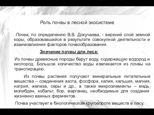 Роль почвы в лесной экосистеме Почва, по определению В.В. Докучаева,