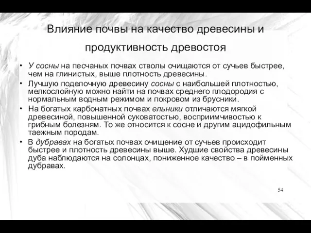 Влияние почвы на качество древесины и продуктивность древостоя У сосны