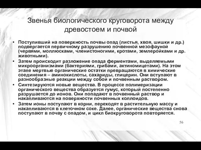 Звенья биологического круговорота между древостоем и почвой Поступивший на поверхность