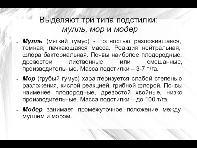 Выделяют три типа подстилки: мулль, мор и модер Мулль (мягкий