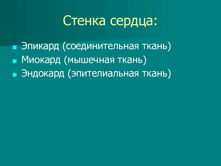 Стенка сердца: Эпикард (соединительная ткань) Миокард (мышечная ткань) Эндокард (эпителиальная ткань)