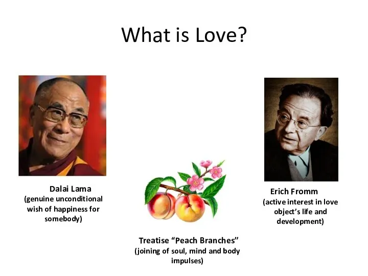 What is Love? Dalai Lama (genuine unconditional wish of happiness for somebody) Treatise
