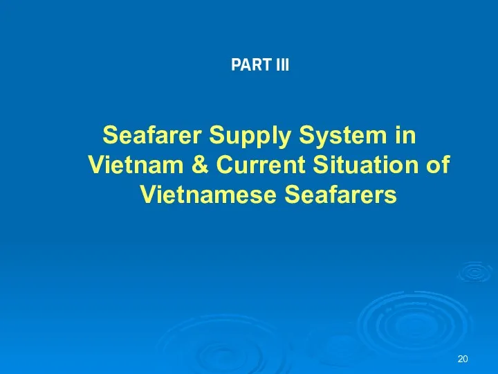 PART III Seafarer Supply System in Vietnam & Current Situation of Vietnamese Seafarers