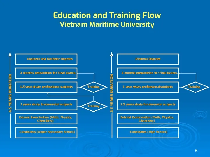 Education and Training Flow Vietnam Maritime University Engineer and Bachelor Degrees 3 months