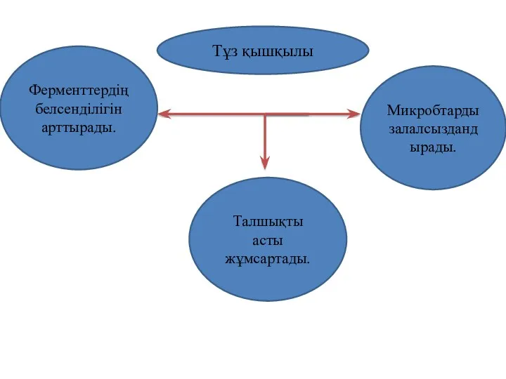 Ферменттердің белсенділігін арттырады. Тұз қышқылы Микробтарды залалсыздандырады. Талшықты асты жұмсартады.